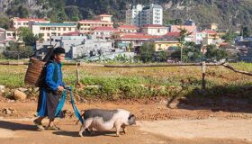Experience Vietnam’s heritage with visa-extended tours
